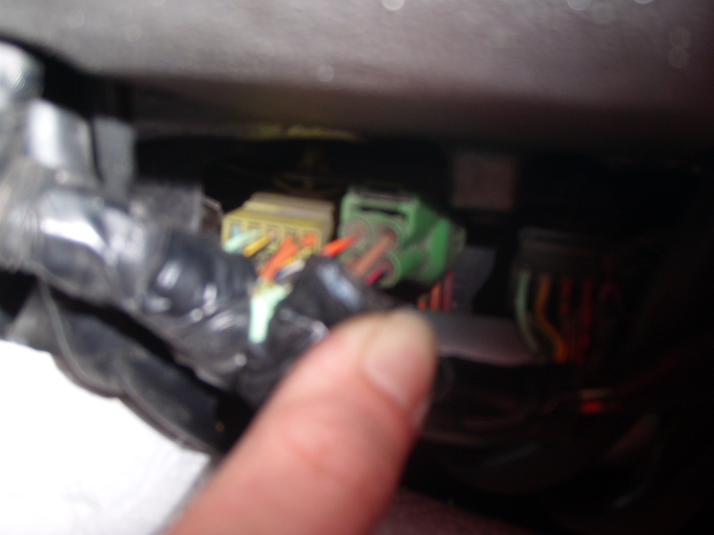 gr. stecker 001.JPG