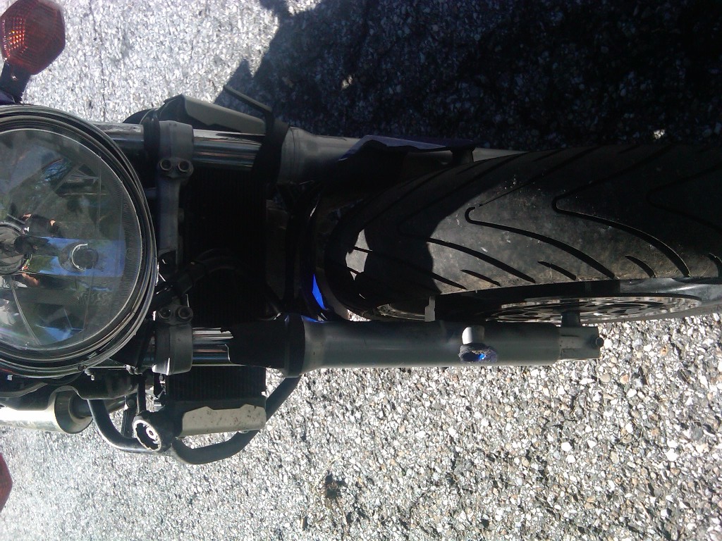 IMG00277-20100815-1551v.jpg