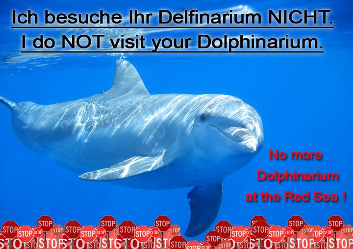 no_dolpinarium.jpg