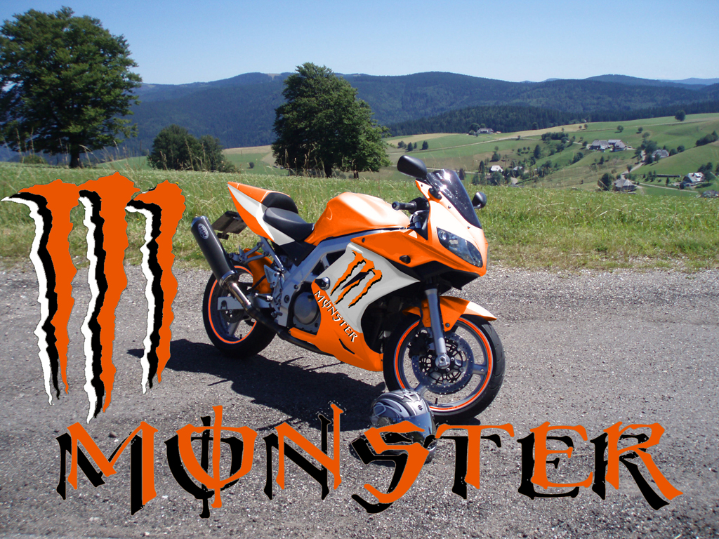 monster weiss orange_bearbeitet-2.jpg