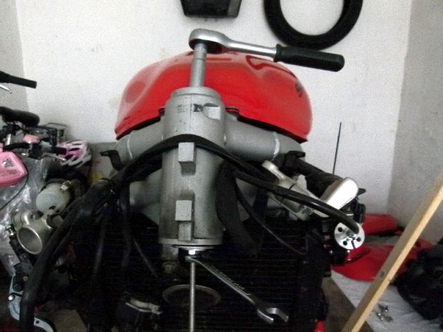P1010862.jpg