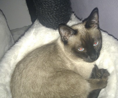 bella_05012011.jpg