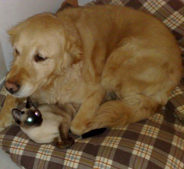 29052010381.jpg
