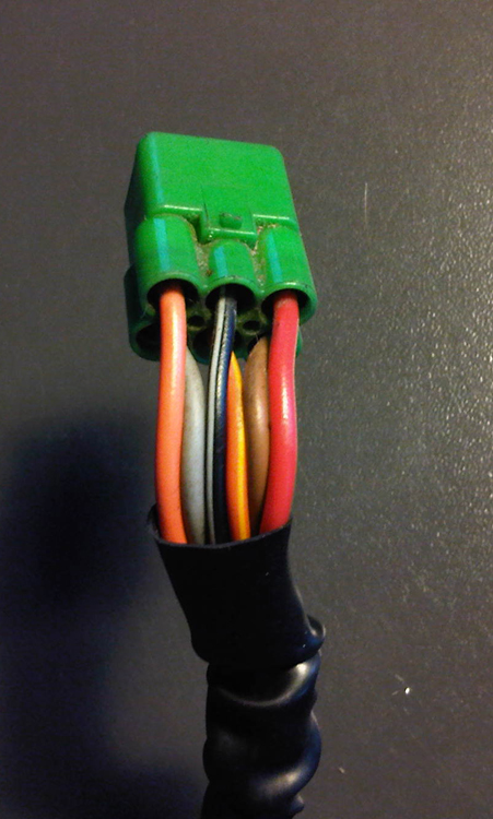 IMG00299-20110117-1618.jpg