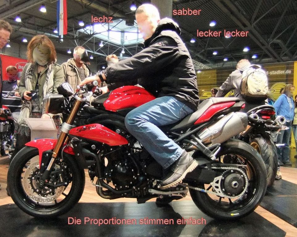 Seitenansicht.jpg