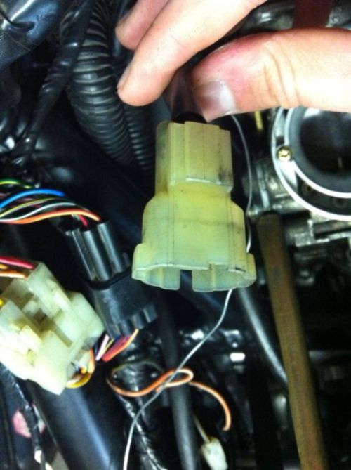 Stecker.JPG