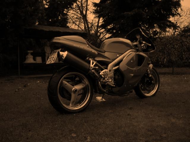 IMGP1009_640x480.jpg