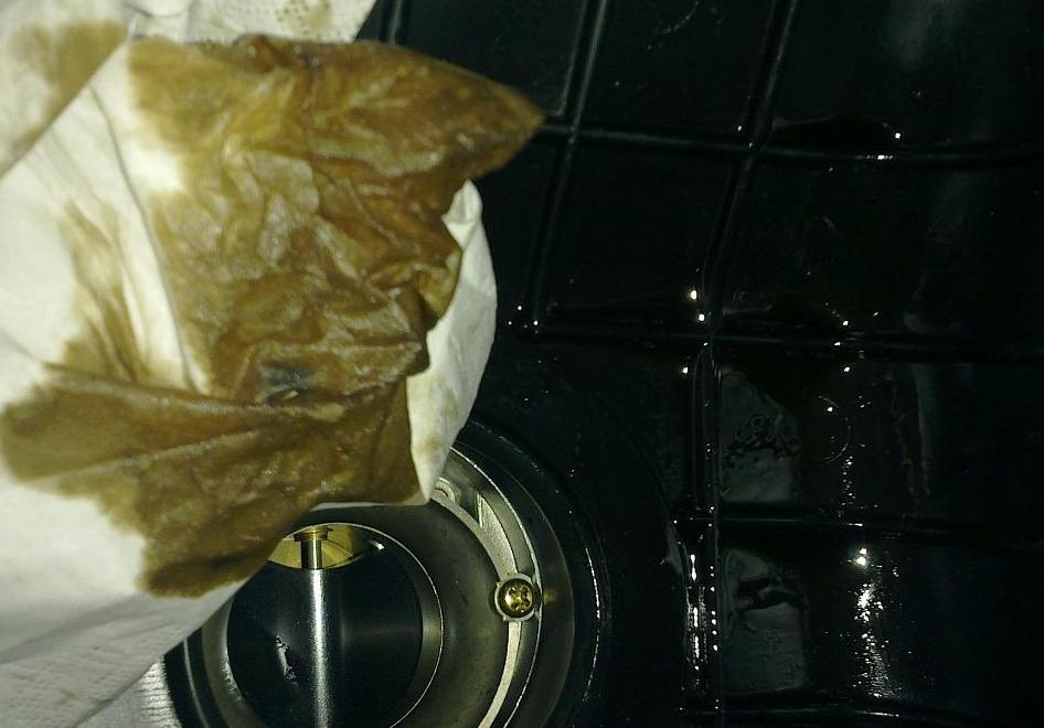 feuchter Vergaser_2.jpg