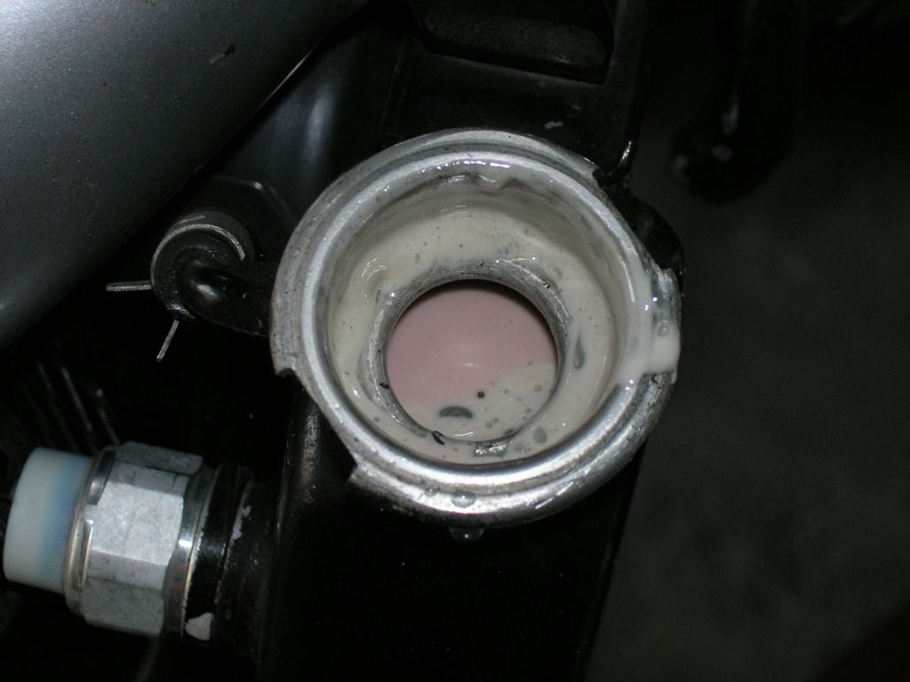 sv_001.jpg