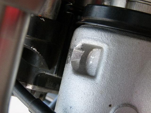 imageP1030011.jpg
