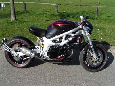 p3110005zc5_Custom_.jpg