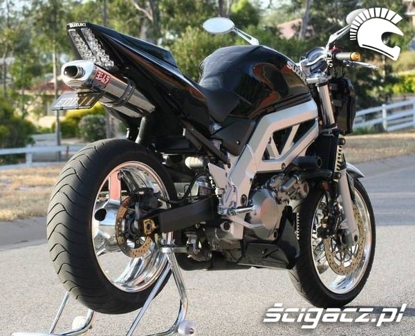 Suzuki_1000_sv_tuning.jpeg