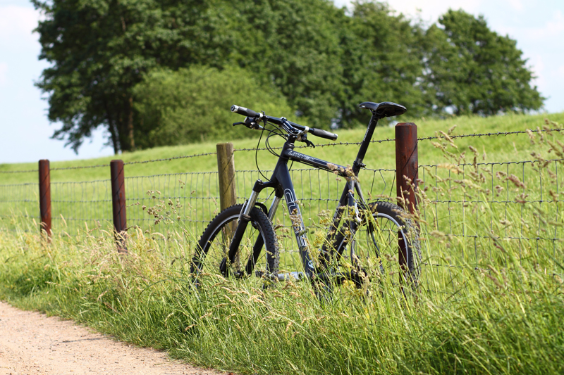 bike.jpg