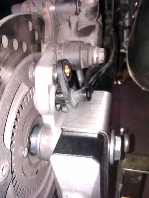 IMAG0346b.jpg