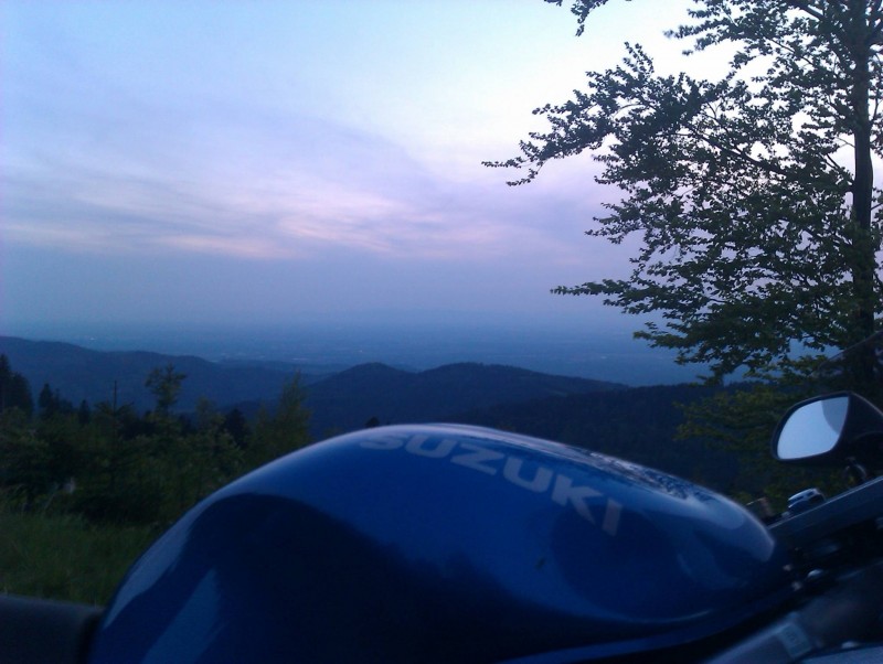 IMAG0229_3.jpg
