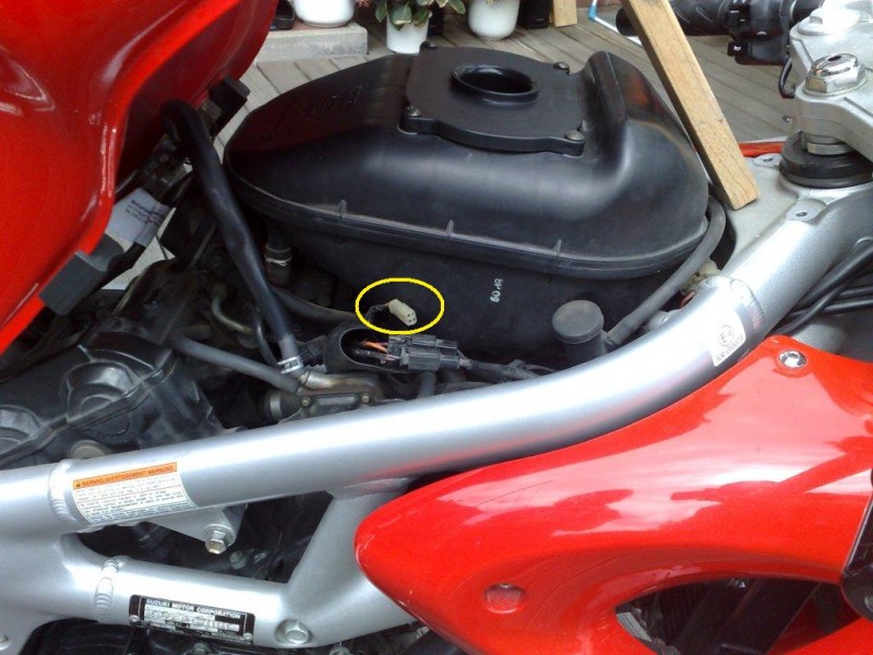 Weißer_Stecker.jpg
