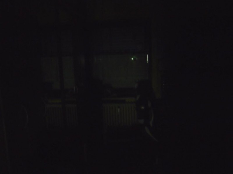 P7210579.JPG