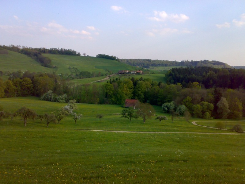 Foto711.jpg