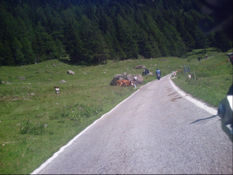 PICT0178.JPG