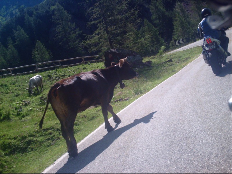 PICT0187.JPG