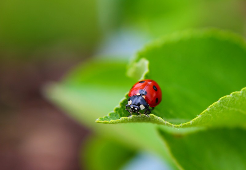 IMG_0150X1.jpg