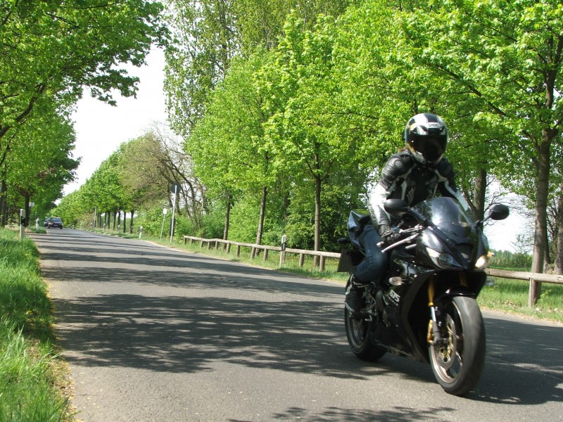 DSCF1233.JPG