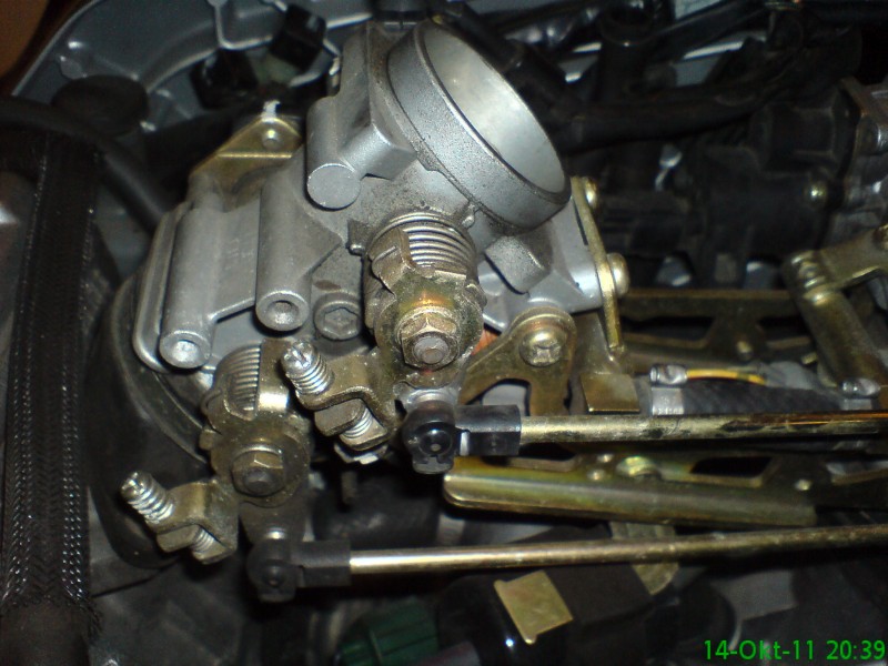 DSC03338.JPG