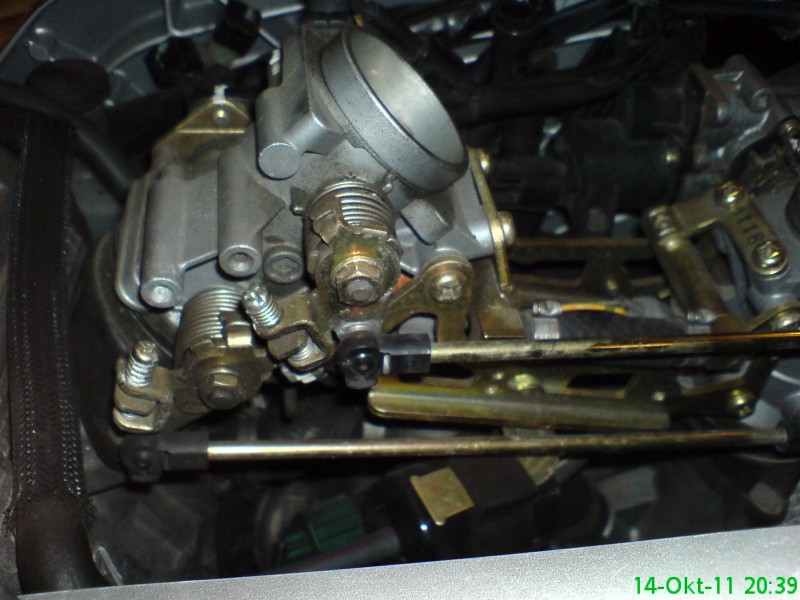 DSC03337.JPG