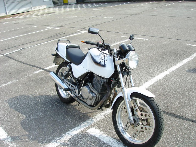 DSC01397Rider.jpg