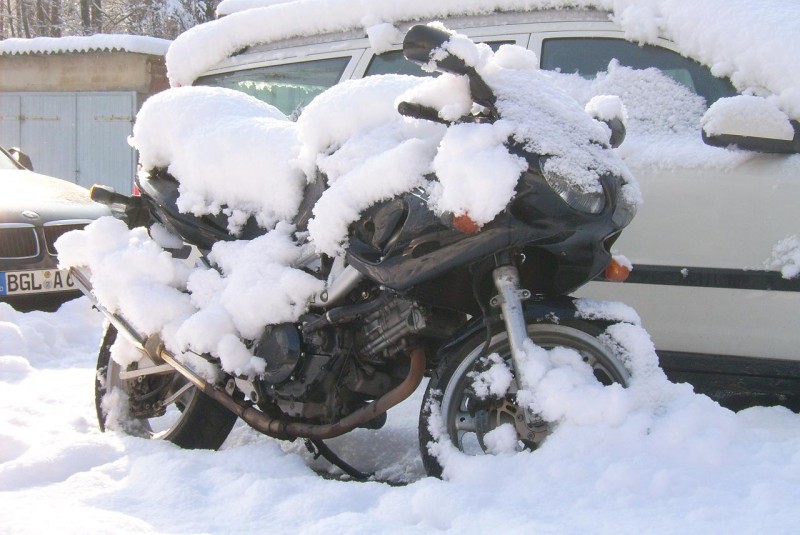 überwintern.JPG