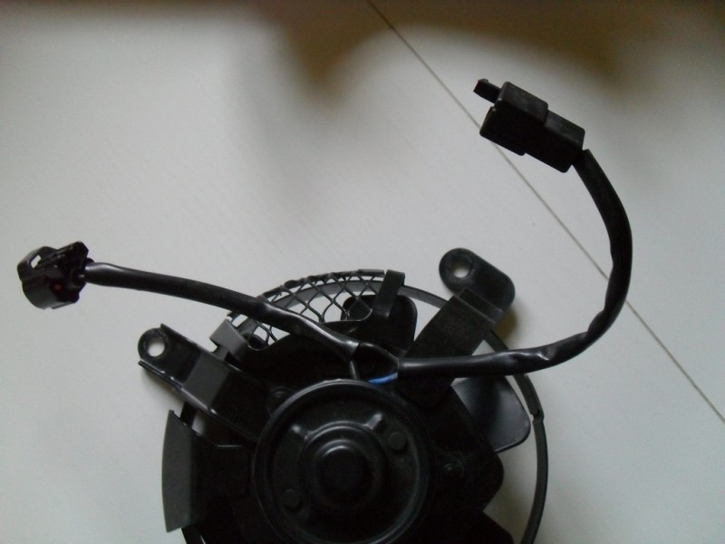 SDC15370.JPG