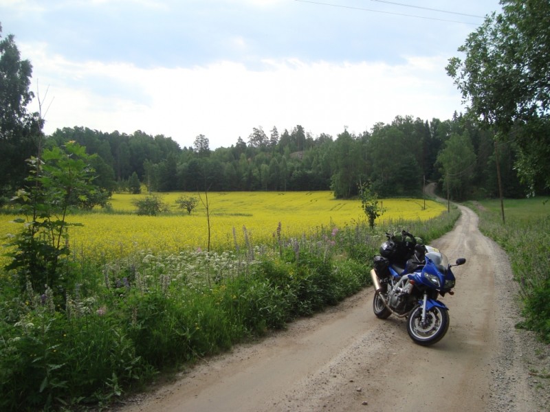 06.JPG