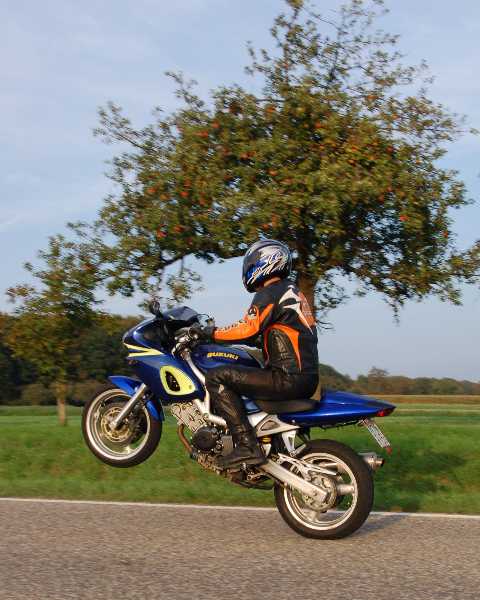 Kopie vonklein vonSV 650S Blau-Gelb 2006.jpg