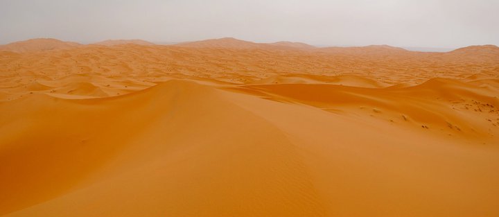 x (14).jpg