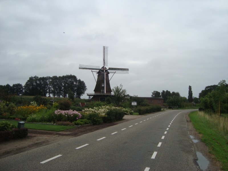 98.JPG
