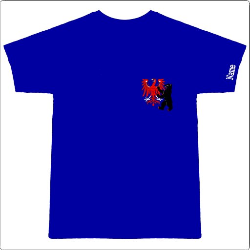 T-Shirt Schwarz front_blau1web.jpg