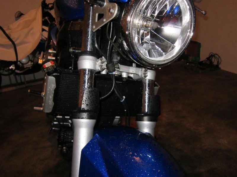 IMG_0406 (Large).JPG