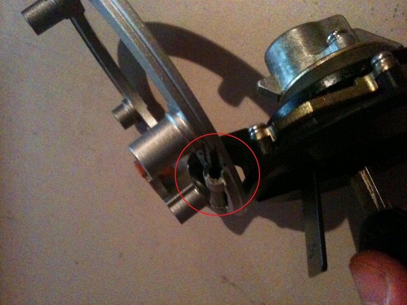Foto 1 (Large).JPG