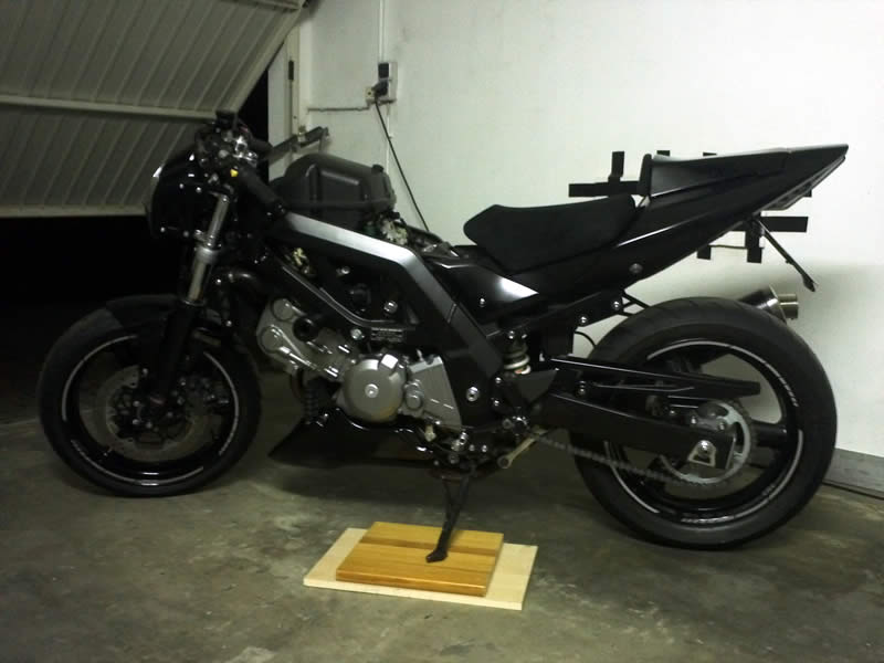 blackbeauty1.jpg