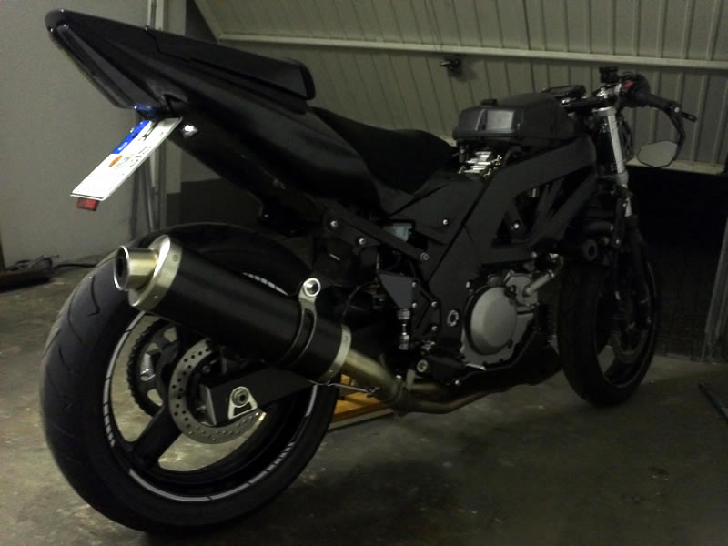 blackbeauty3.jpg