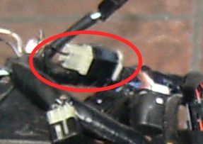 Stecker.jpg
