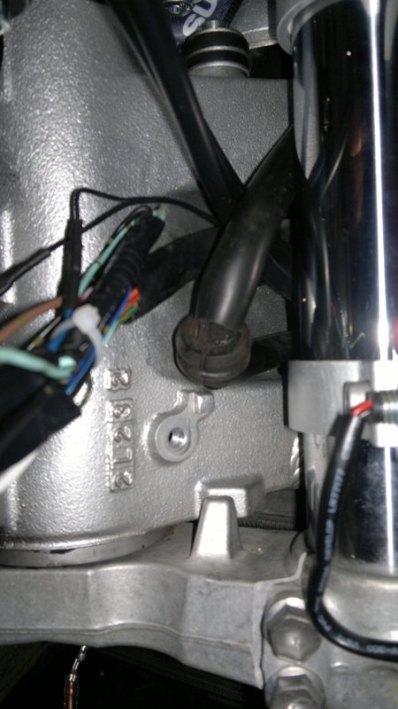 2012-03-14-183.jpg