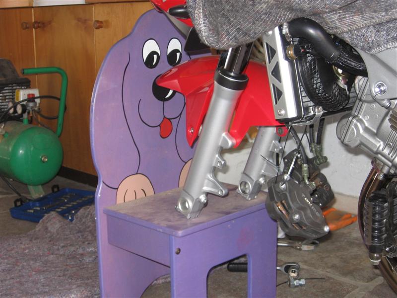 IMG_1436 (Medium).JPG