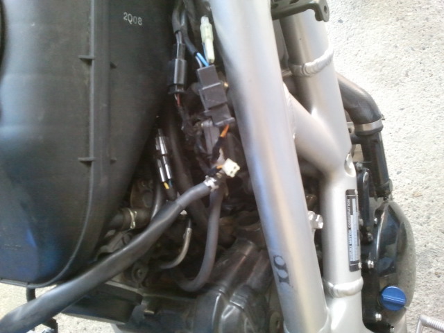 Stecker.jpg