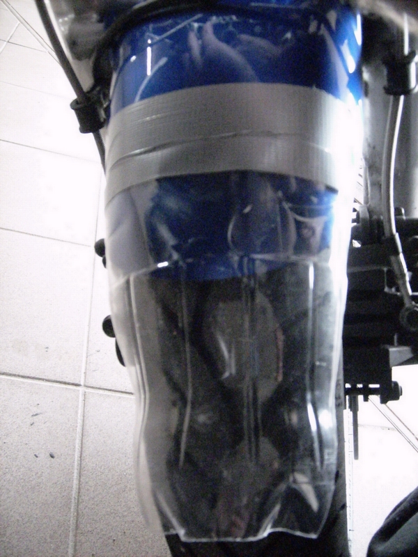 DSCI0031.JPG