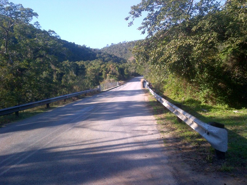 IMG-20120617-00168_SV.jpg