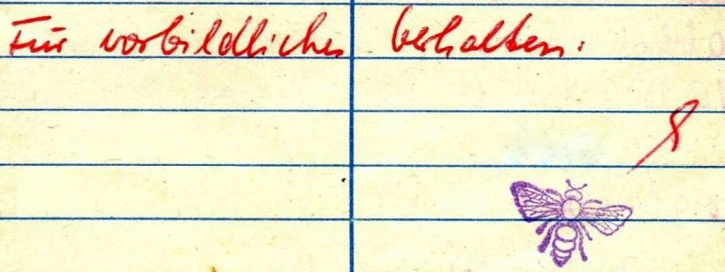 Bienchen.jpg