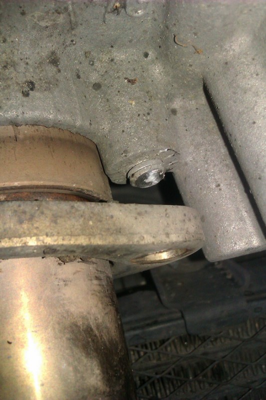 IMAG0551.jpg