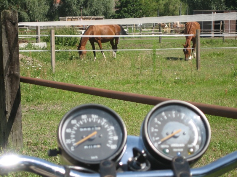 SR August 2012 045.jpg