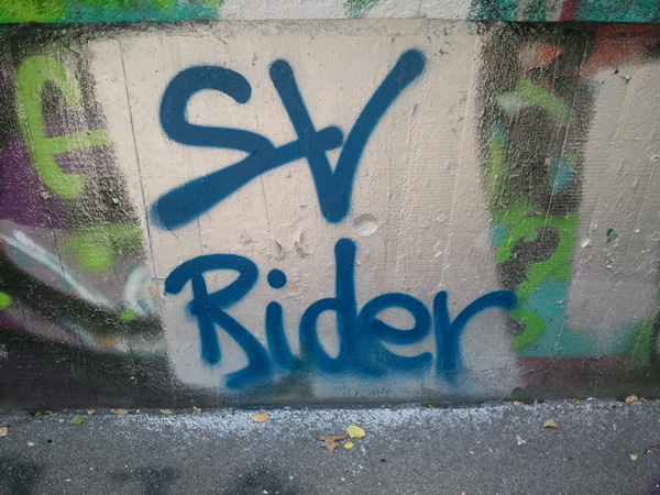 svrg.jpg